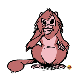 BD ZOO DINGO 