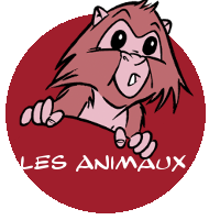 Animaux-2