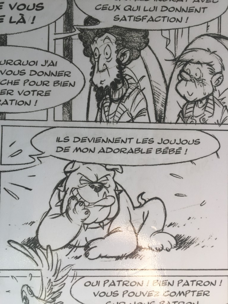 BD : Zoo Dingo Bêtes de scène